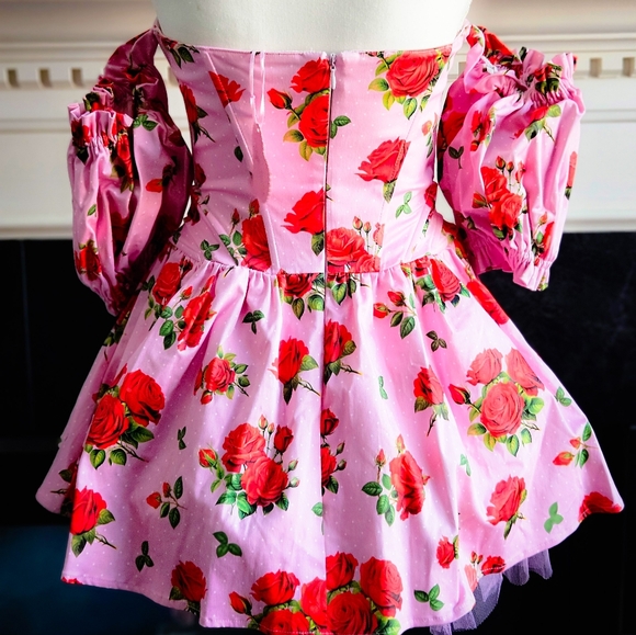 NWT Holding Court Corset Dress - Pink SOLD OUT - Picture 5 of 7